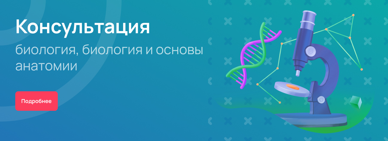 Консультация биология, биология и основы анатомии