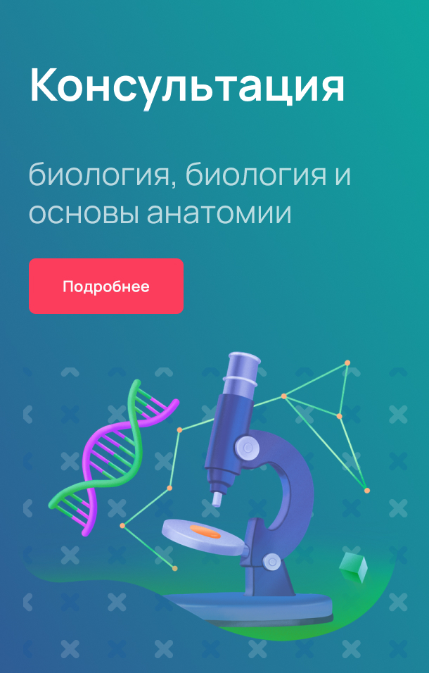 Консультация биология, биология и основы анатомии